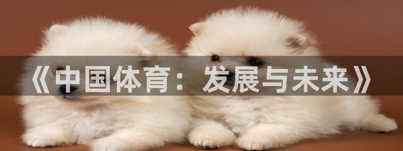 z66体育app下载：《中国体育：发展与未来》