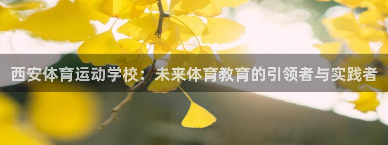 z66体育app下载：西安体育运动学校：未来体育教育的引领者与实践者