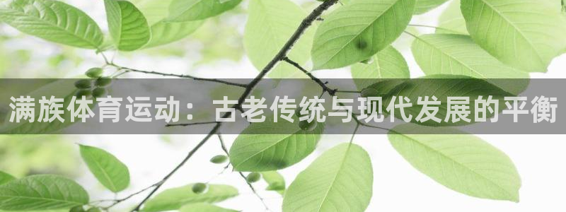 z66体育是怎么回事：满族体育运动：古老传统与现代发展的平衡