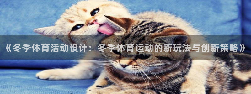 z66体育网站是正规的吗：《冬季体育活动设计：冬季体育运动的新玩法与创新策略》