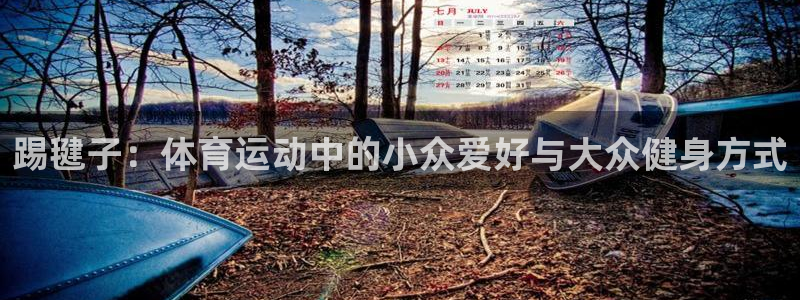 z66体育全站APP下载：踢毽子：体育运动中的小众爱好与大众健身方式