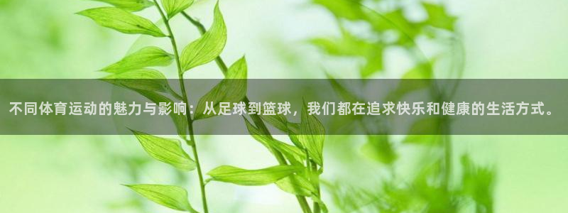 z66体育全站APP下载：不同体育运动的魅力与影响：从足球到篮球，我们都在追求快乐和健康的生活方式。