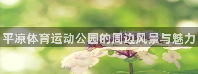 Z66体育APP官方下载入口：平凉体育运动公园的周边风景与魅力
