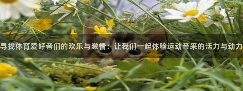 Z66体育官方网站：寻找体育爱好者们的欢乐与激情：让我们一起体验运动带来的活力与动力